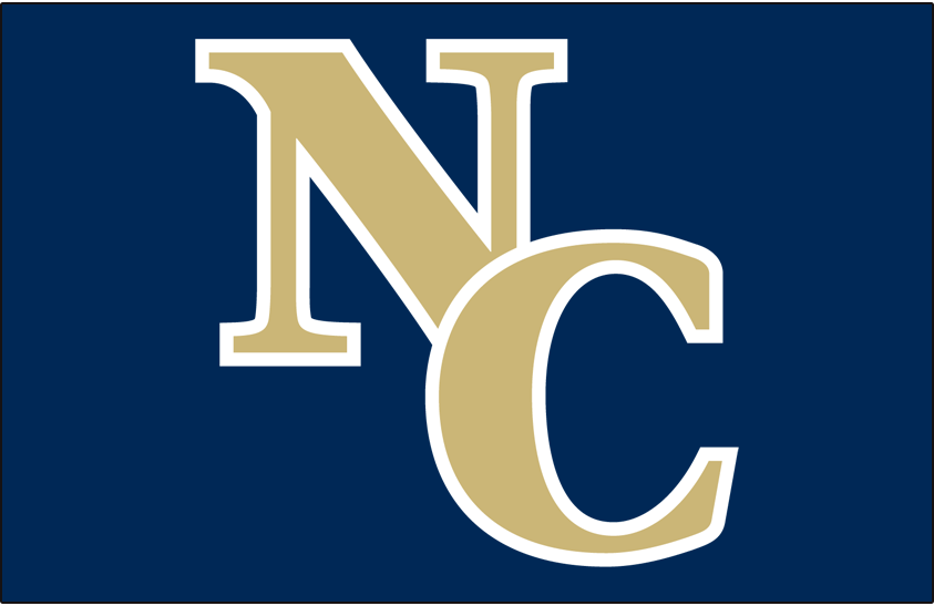 Northern Colorado Bears 2014 Helmet Logo diy iron on heat transfer